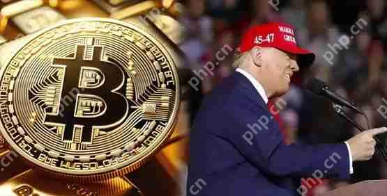 川普儿子比特币矿企american bitcoin借壳上市详解！gryphon mining股价狂飙330%